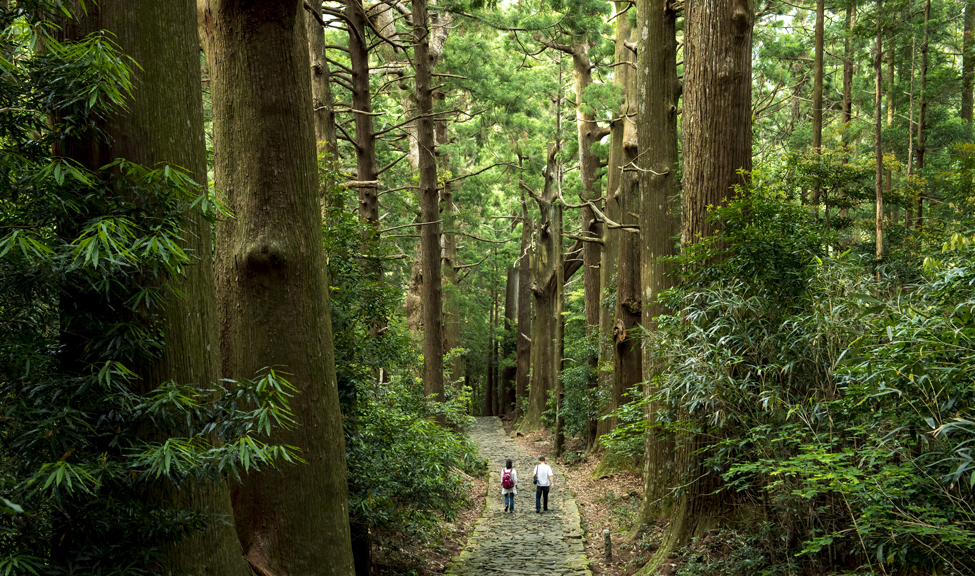 Lifes-An-Adventure-Japan-WALK-KUMANO-KODO